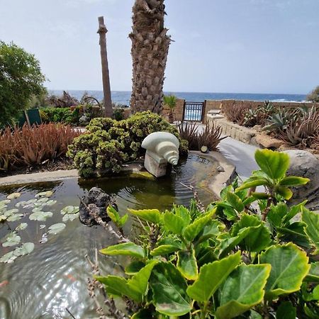 Little Paradise In El Medano 2 グラナディージャ・デ・アボナ エクステリア 写真