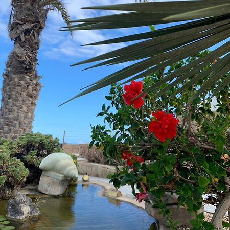 Little Paradise In El Medano 2 グラナディージャ・デ・アボナ エクステリア 写真