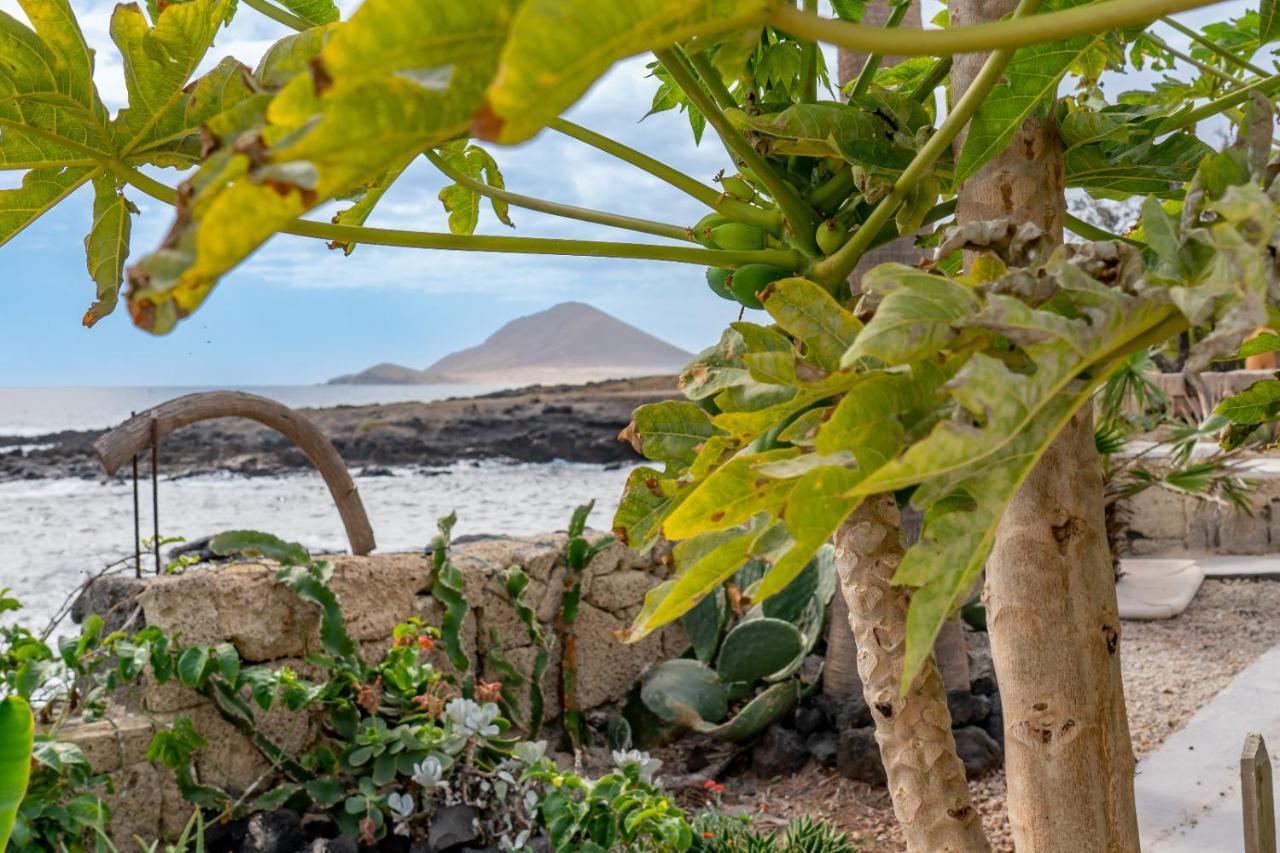Little Paradise In El Medano 2 グラナディージャ・デ・アボナ エクステリア 写真