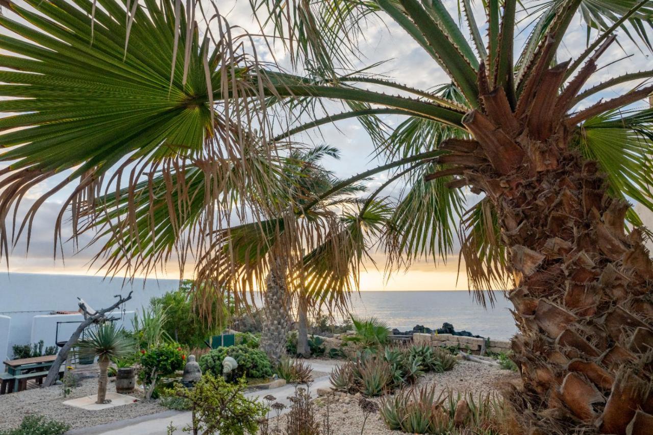 Little Paradise In El Medano 2 グラナディージャ・デ・アボナ エクステリア 写真