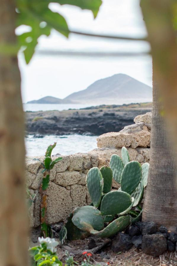 Little Paradise In El Medano 2 グラナディージャ・デ・アボナ エクステリア 写真