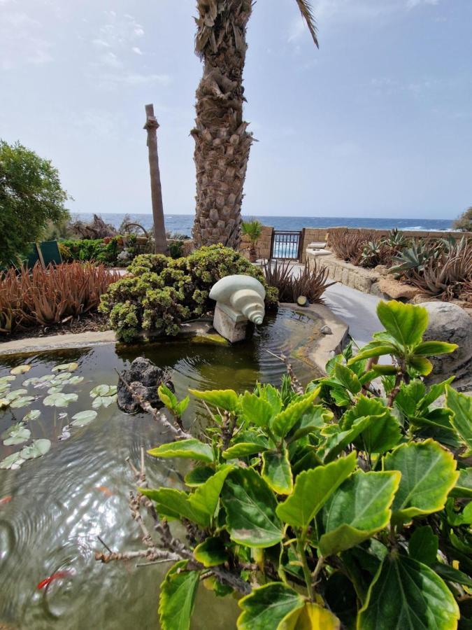 Little Paradise In El Medano 2 グラナディージャ・デ・アボナ エクステリア 写真