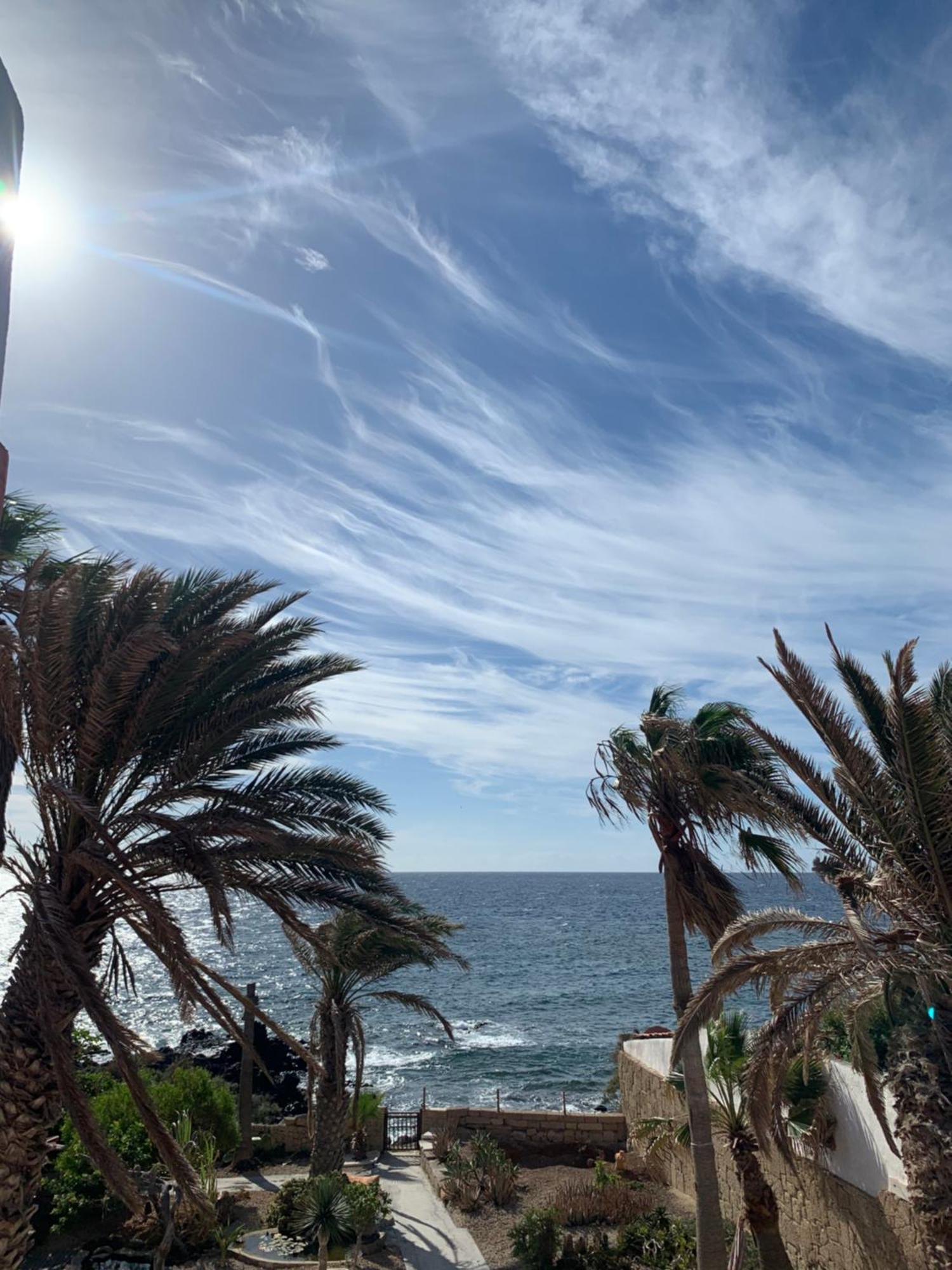 Little Paradise In El Medano 2 グラナディージャ・デ・アボナ エクステリア 写真